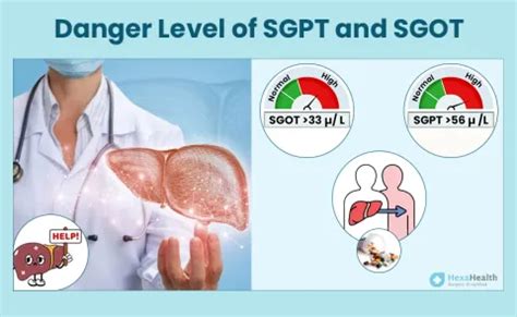 normal range danger level of sgpt and sgot|Danger Level of SGPT and SGOT .